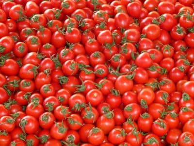 Tomatoes