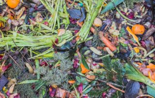 Composting Pile