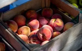 Organic Gardening Peaches