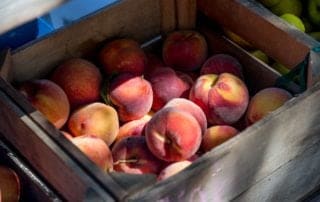 Organic Gardening Peaches