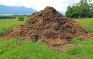 Compost Pile