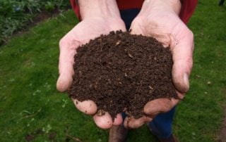 Home Composting