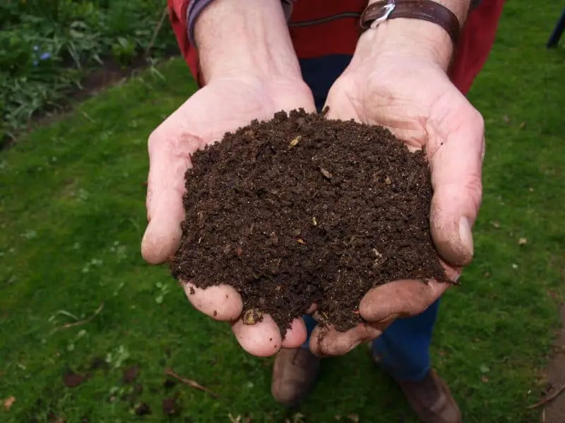 Home Composting