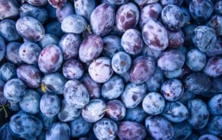 Organic Garden Plums