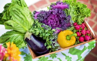 Organic Vegetable Garden