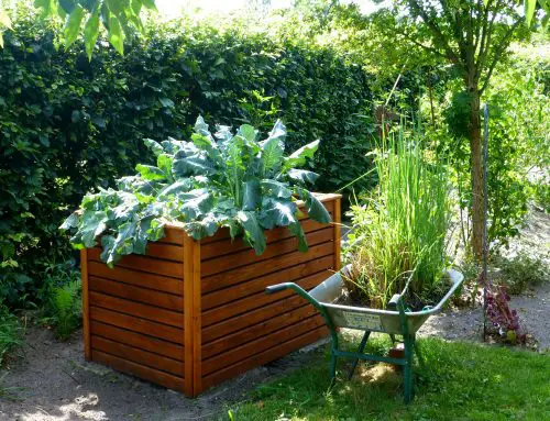 Raised Garden Bed