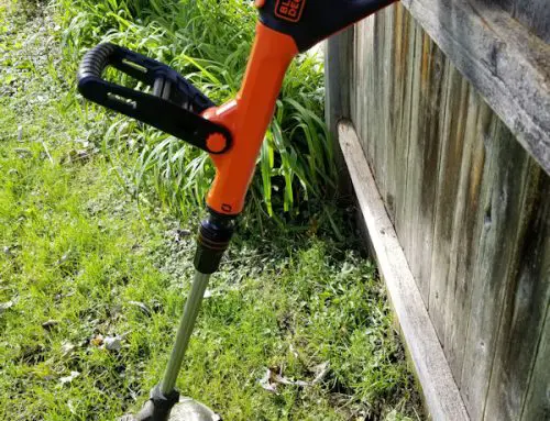 Best Weed Eater
