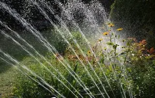 Best Drip Irrigation System - Sprinkler