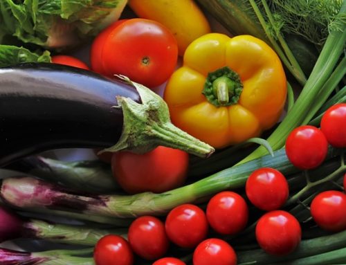Best Fertilizer For Gardens