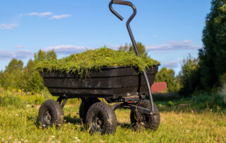 A Garden Cart Filled with Cut Grass - What is the Best Wheelbarrow to Buy