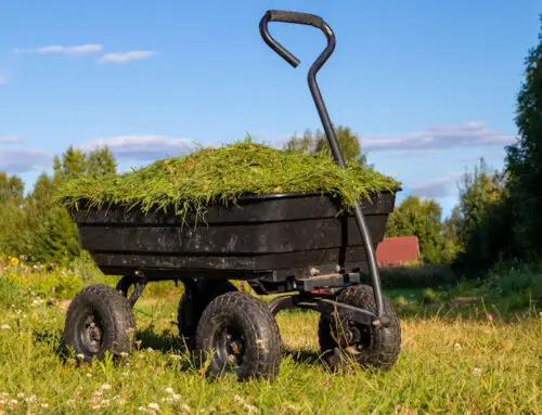 Best Wheelbarrow