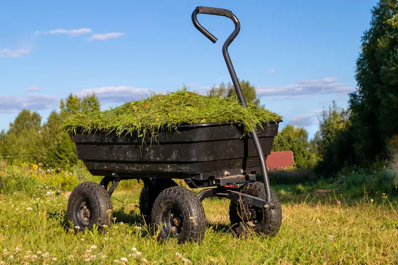 A Garden Cart Filled with Cut Grass - What is the Best Wheelbarrow to Buy