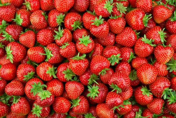 easiest fruits and vegetables to grow - strawberries