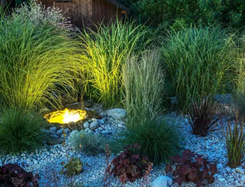 Rock Garden Ideas