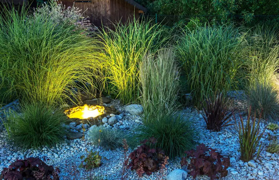 rock garden ideas - Picture of a rock garden