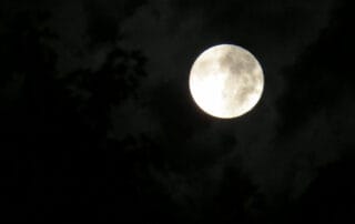 does gardening by the moon work - this is a picture of the moon