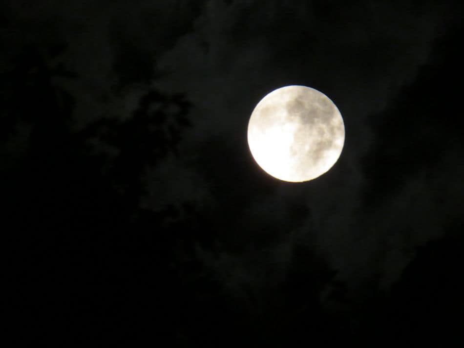 does gardening by the moon work - this is a picture of the moon