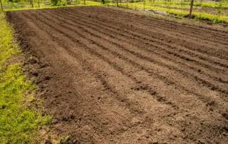 how to till a garden - picture of tilled ground ready for planting