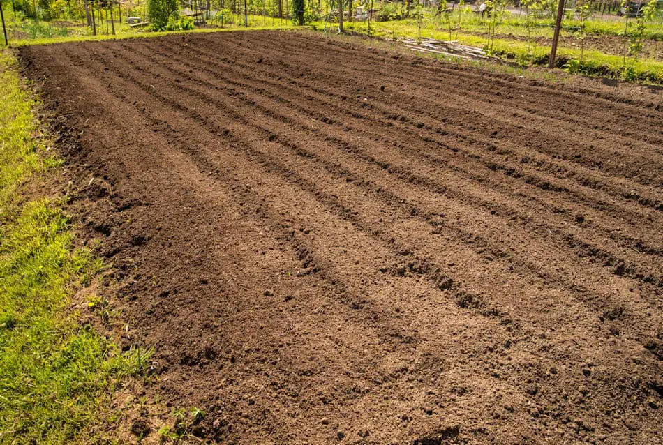how to till a garden - picture of tilled ground ready for planting