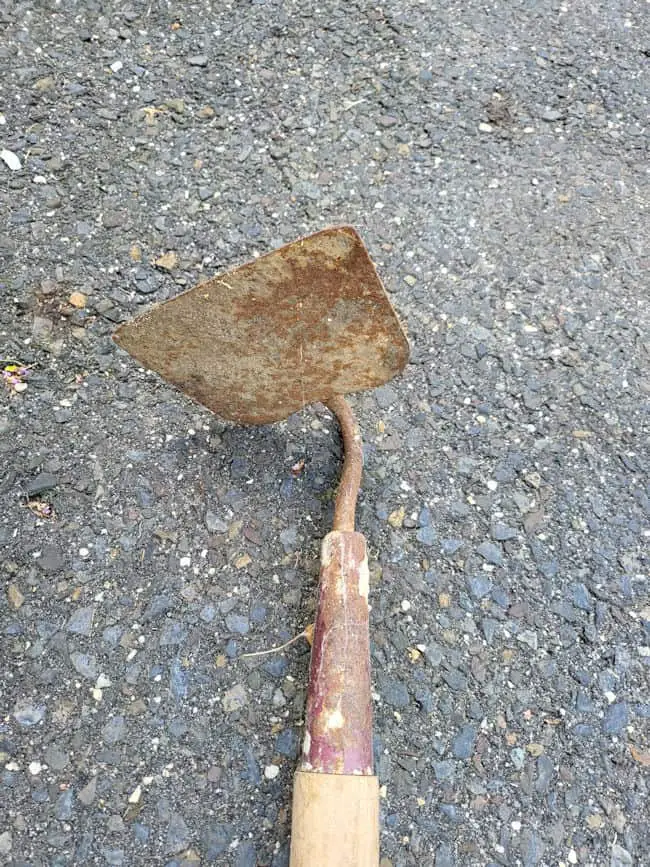 Do I Need to Pick Up Weeds After Hoeing - Picture of a Garden Hoe