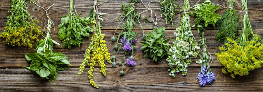 different herbs on a table