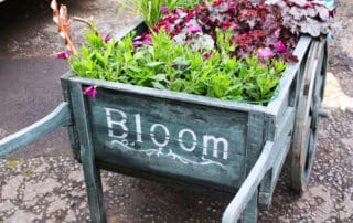 a picture of plants in a cart - what are the different types of gardening