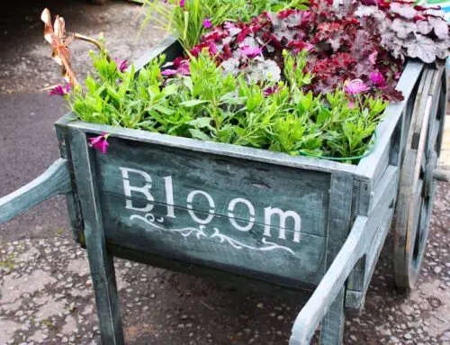 9 Different Types of Gardening That Are Great