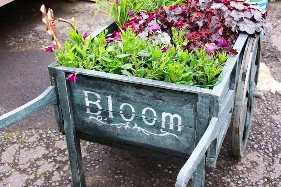 a picture of plants in a cart - what are the different types of gardening