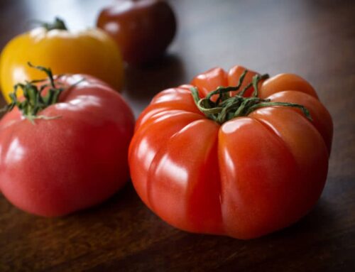 What Do Heirloom Tomatoes Taste Like