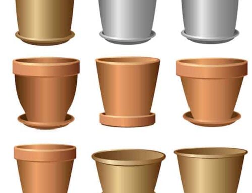 Why Are Plant Pots Tapered